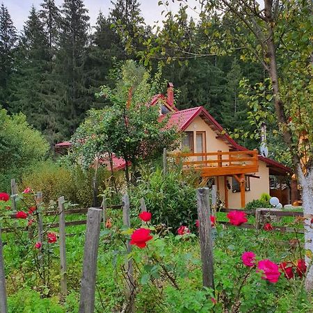 Forest Vibes Spa Cîmpu lui Neag 外观 照片