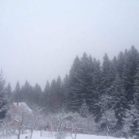 Forest Vibes Spa Cîmpu lui Neag 外观 照片