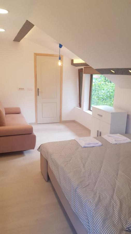 Forest Vibes Spa Cîmpu lui Neag 外观 照片