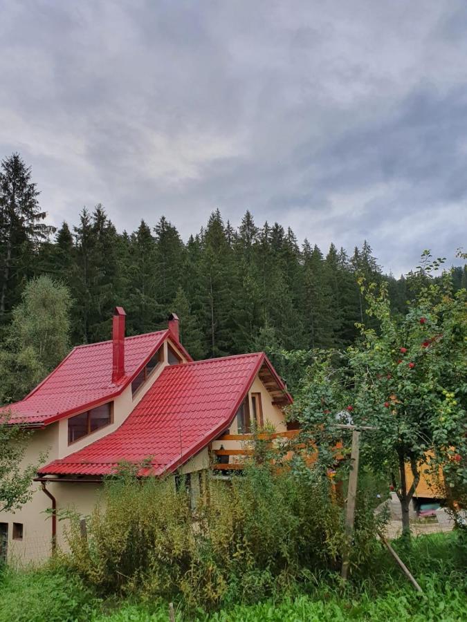 Forest Vibes Spa Cîmpu lui Neag 外观 照片