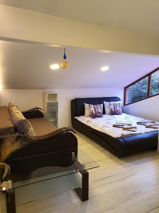Forest Vibes Spa Cîmpu lui Neag 外观 照片