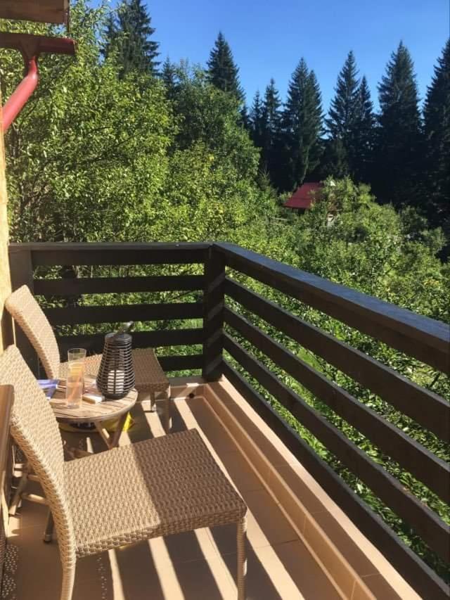 Forest Vibes Spa Cîmpu lui Neag 外观 照片