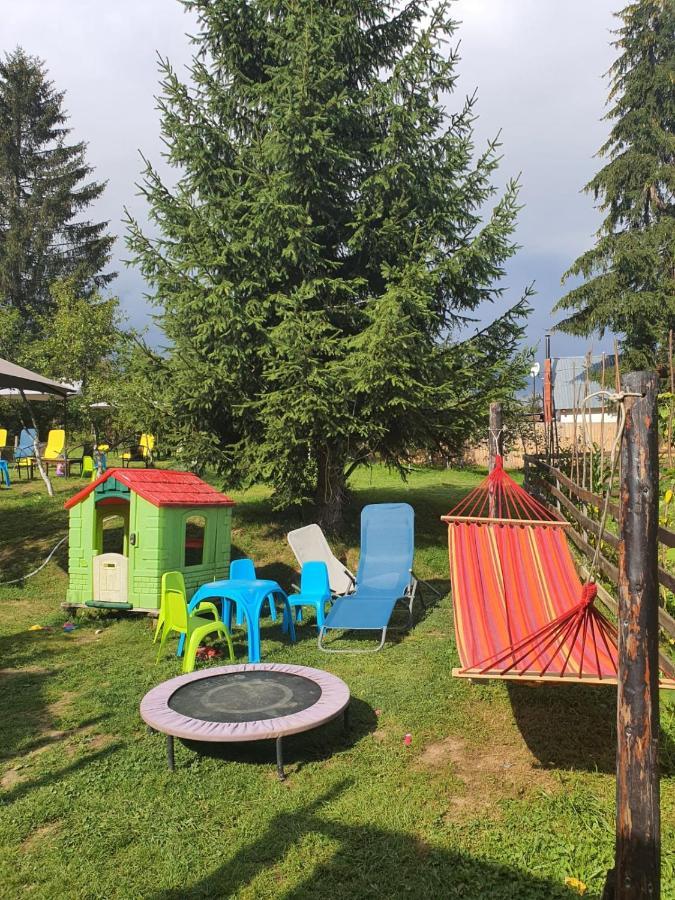 Forest Vibes Spa Cîmpu lui Neag 外观 照片