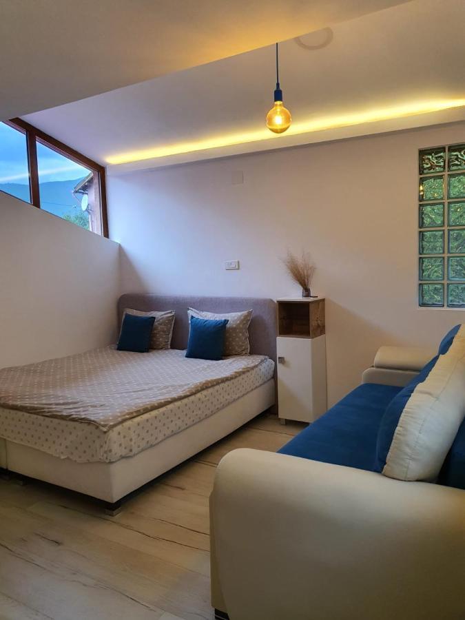 Forest Vibes Spa Cîmpu lui Neag 外观 照片