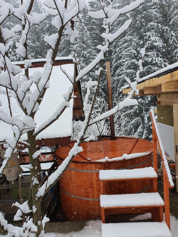 Forest Vibes Spa Cîmpu lui Neag 外观 照片