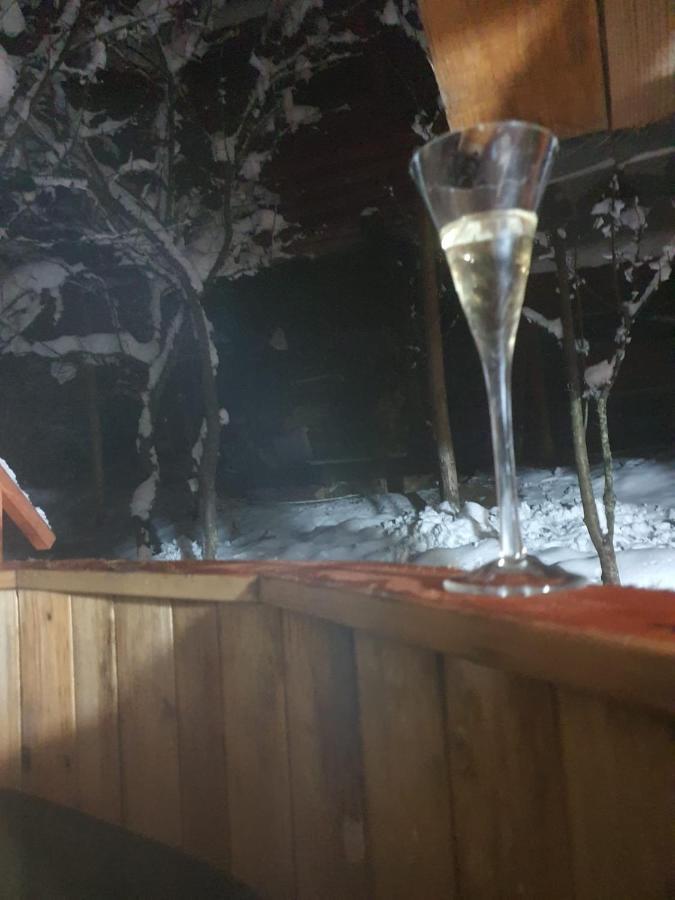 Forest Vibes Spa Cîmpu lui Neag 外观 照片