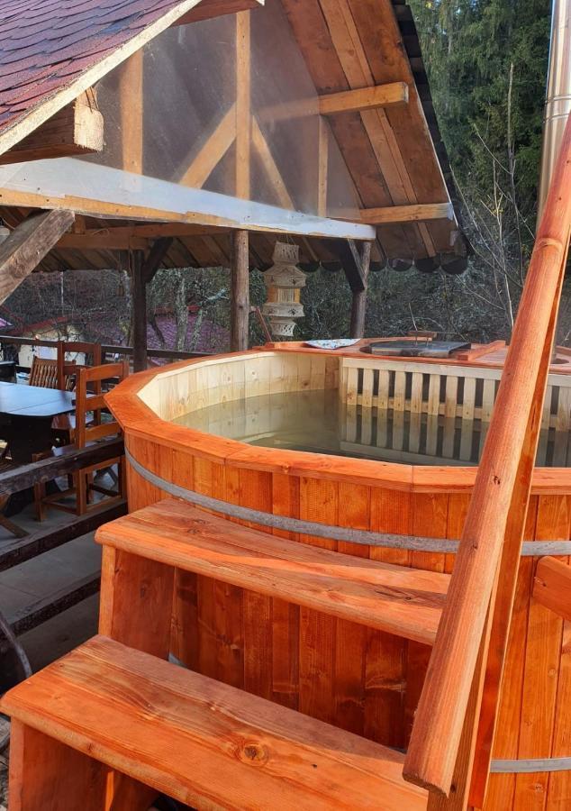 Forest Vibes Spa Cîmpu lui Neag 外观 照片