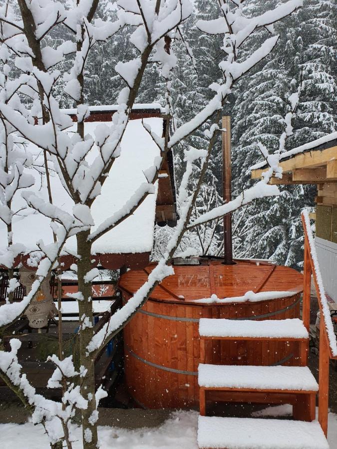 Forest Vibes Spa Cîmpu lui Neag 外观 照片