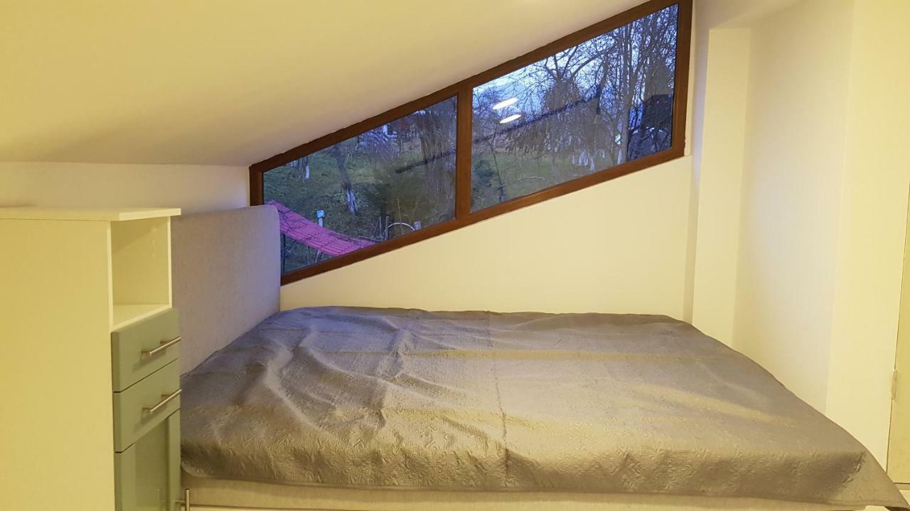 Forest Vibes Spa Cîmpu lui Neag 外观 照片