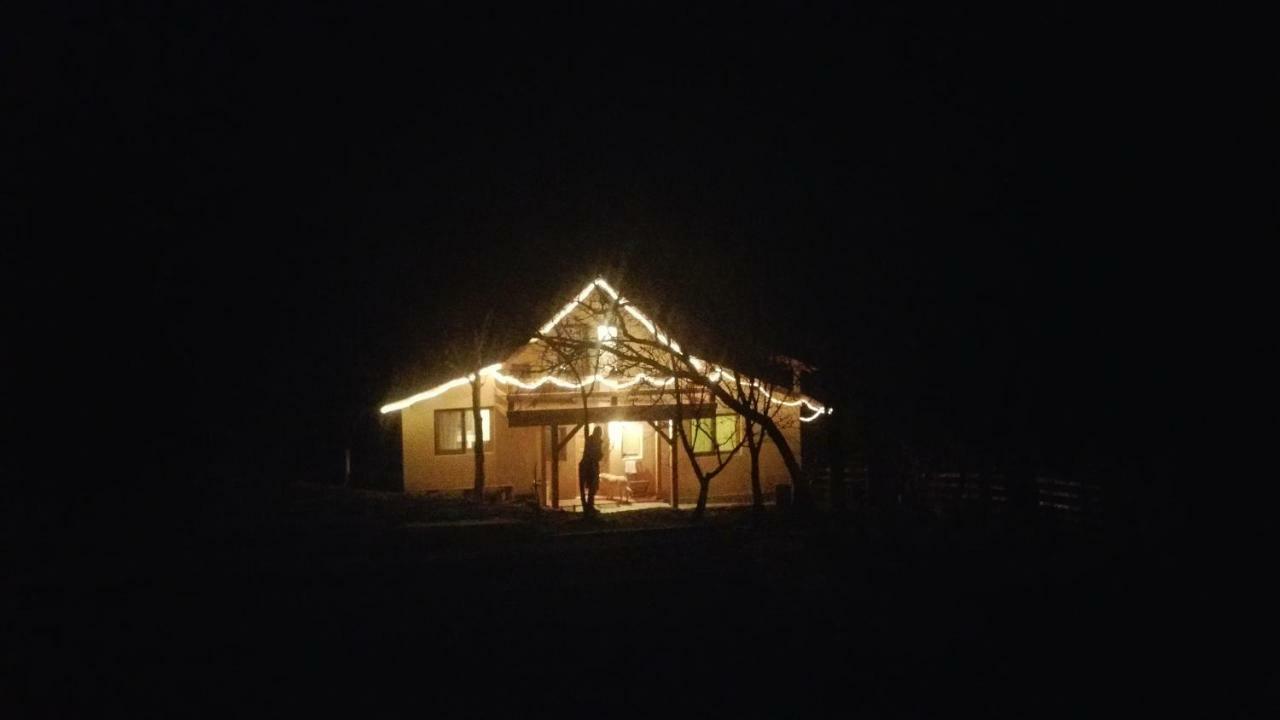 Forest Vibes Spa Cîmpu lui Neag 外观 照片