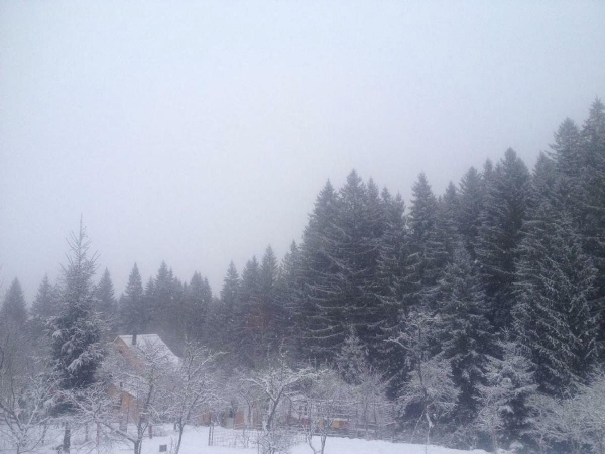 Forest Vibes Spa Cîmpu lui Neag 外观 照片