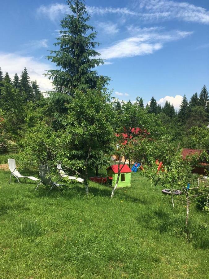 Forest Vibes Spa Cîmpu lui Neag 外观 照片