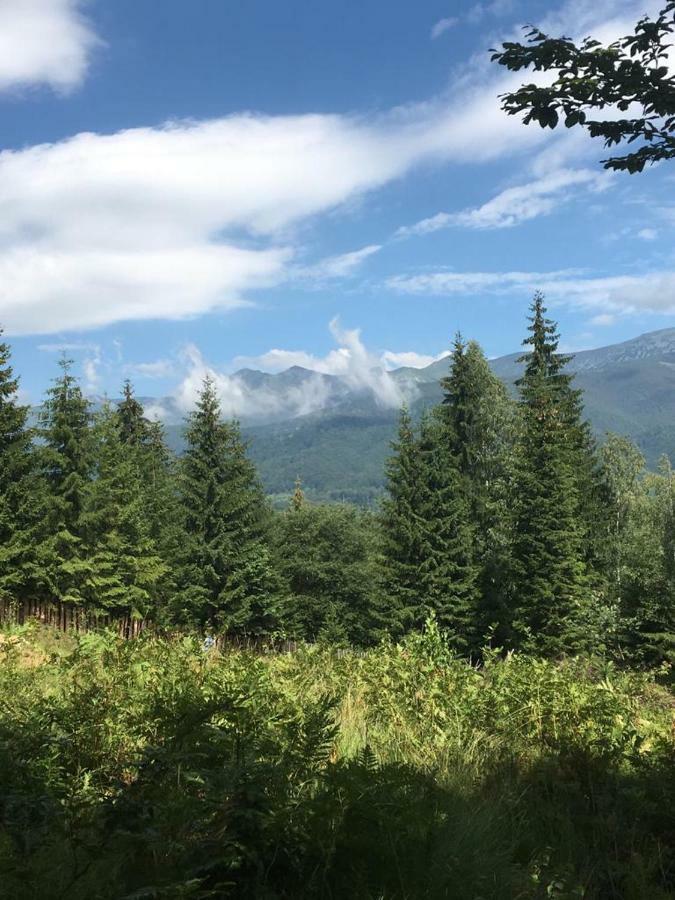 Forest Vibes Spa Cîmpu lui Neag 外观 照片