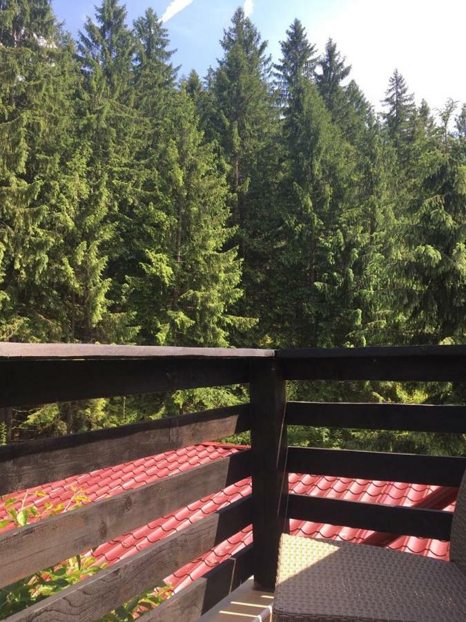 Forest Vibes Spa Cîmpu lui Neag 外观 照片