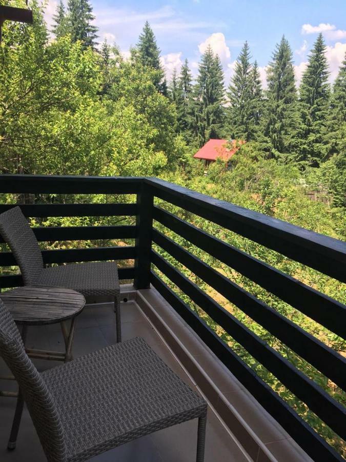 Forest Vibes Spa Cîmpu lui Neag 外观 照片