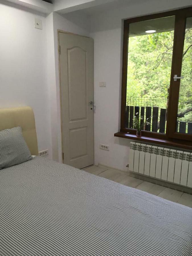 Forest Vibes Spa Cîmpu lui Neag 外观 照片