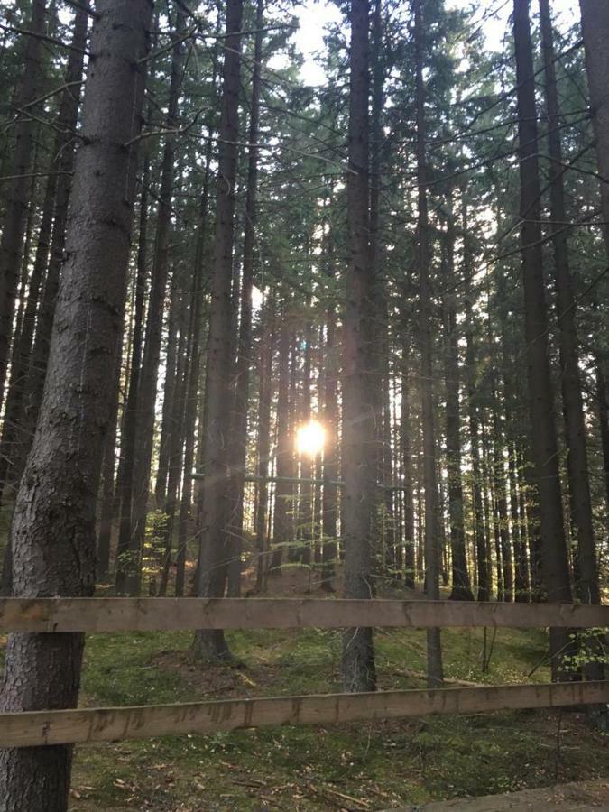 Forest Vibes Spa Cîmpu lui Neag 外观 照片