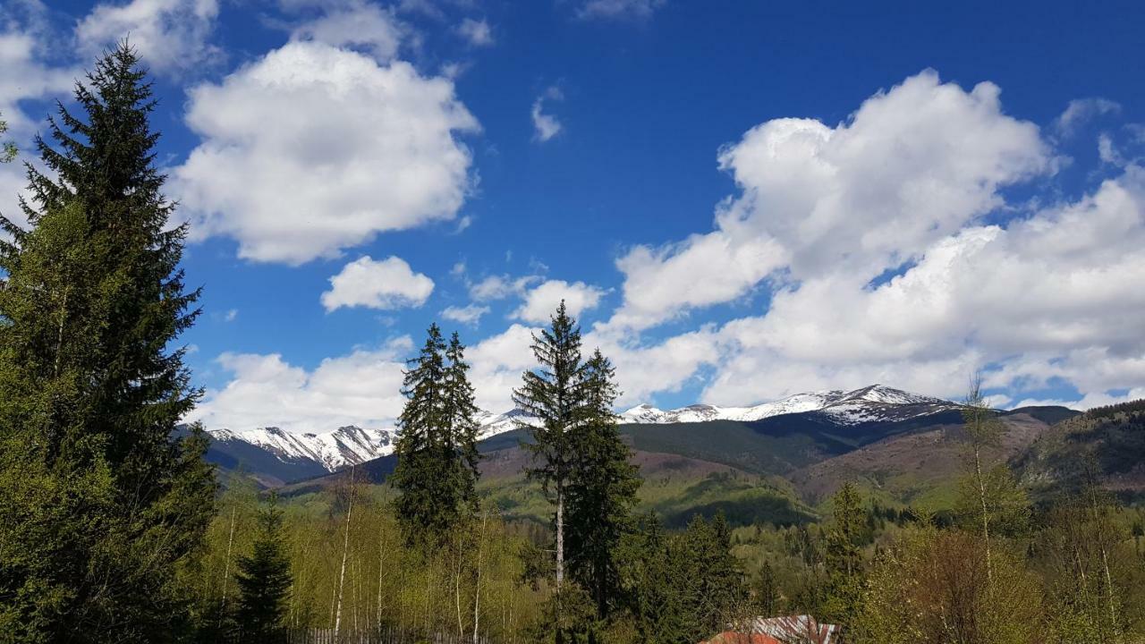 Forest Vibes Spa Cîmpu lui Neag 外观 照片