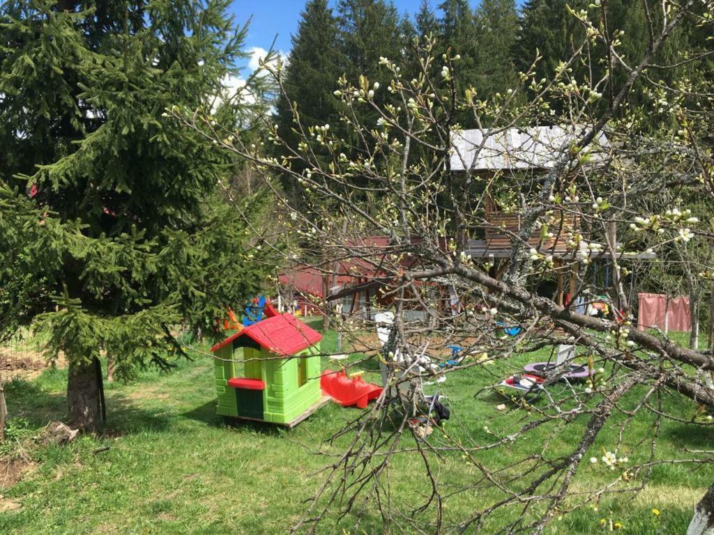 Forest Vibes Spa Cîmpu lui Neag 外观 照片